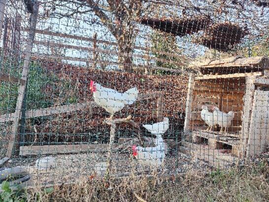 Monfra - Ospitalita Rurale, Vigneti E Cantina Vignale Zewnętrze zdjęcie