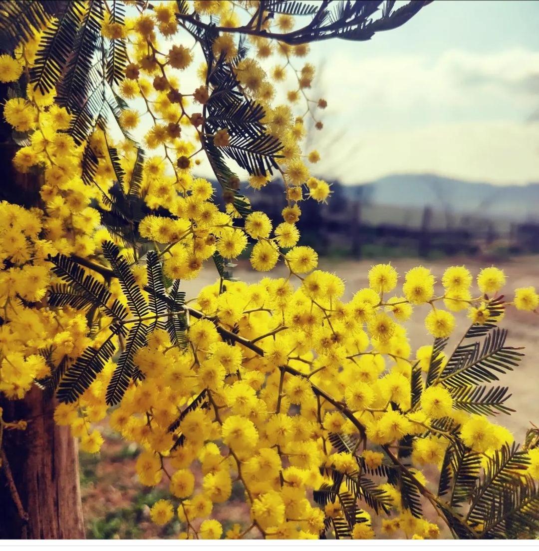 Monfra - Ospitalita Rurale, Vigneti E Cantina Vignale Zewnętrze zdjęcie