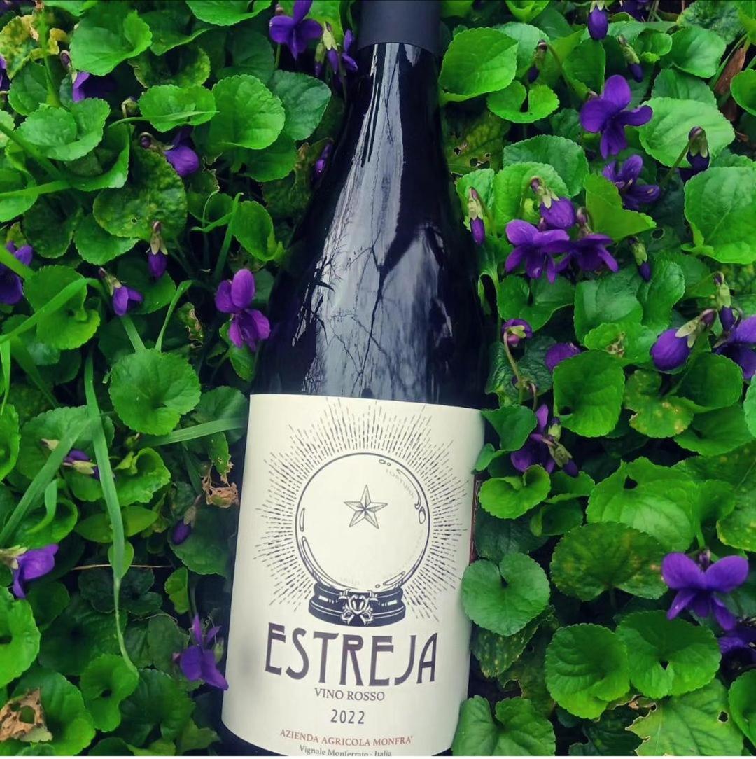Monfra - Ospitalita Rurale, Vigneti E Cantina Vignale Zewnętrze zdjęcie